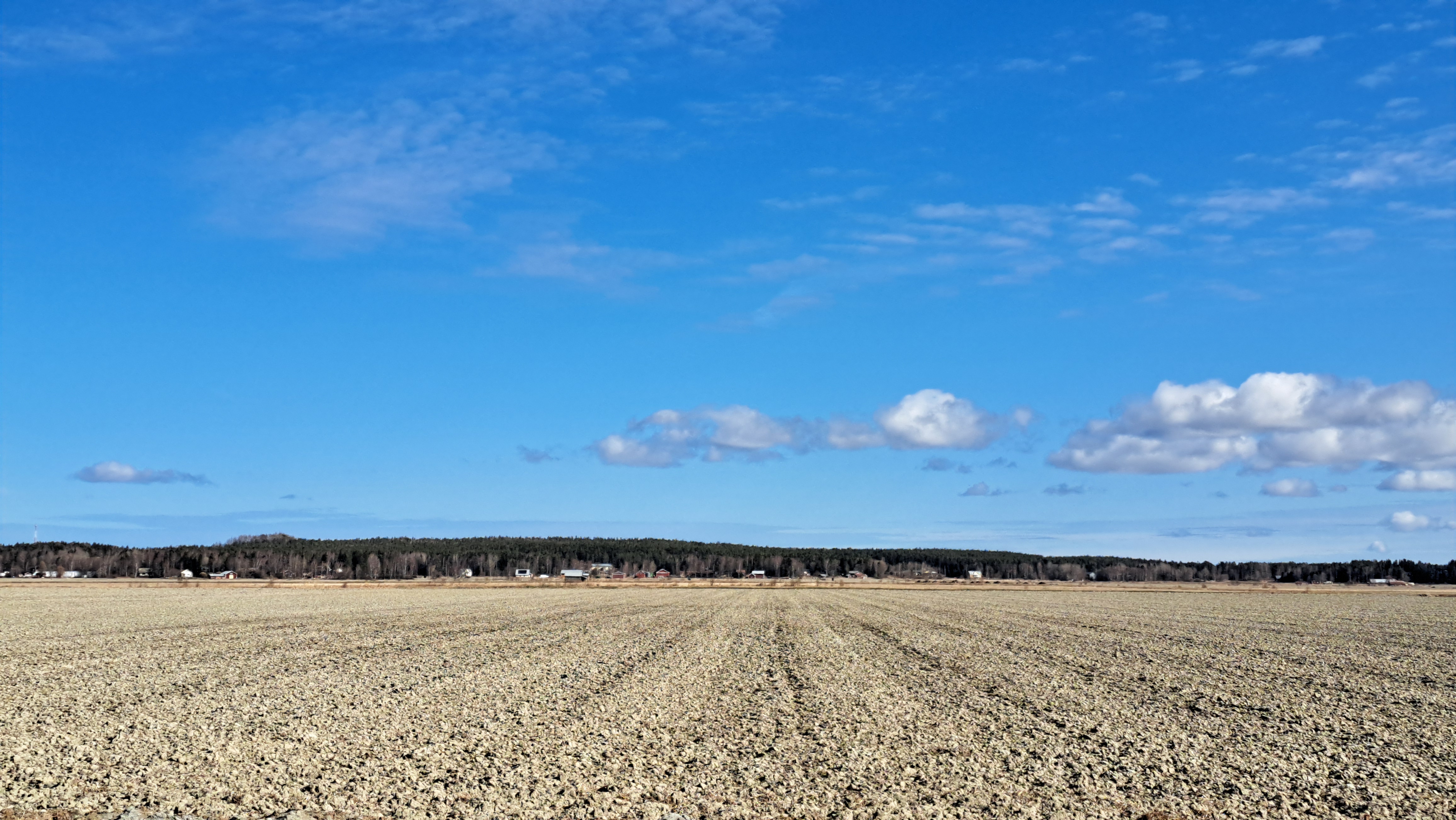 <b>S�derfj�rden, Sundom</b> 
3,04 ha odlingsmark. Anbud 11.5.2026